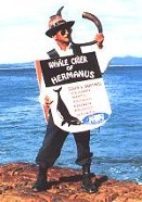 Hermanus Whale Crier